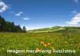 Um lote de terreno conhecido como "Horto", situado em Ponta Grossa, Itapeba, Maricá/RJ Matrícula nº: 46.376 A descrição do(s) bem(ns) se encontra em conformidade com a ata de audiê